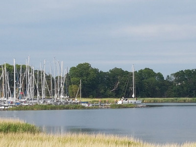 Yachthafen auf der Insel Hiddensee – Segeln auf der Ostsee