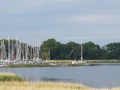 Yachthafen auf der Insel Hiddensee – Segeln auf der Ostsee