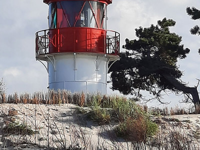 Leuchtturm auf der Insel Hiddensee bei Rügen