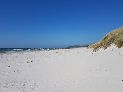 Ostseestrand in Neuendorf auf der Insel Hiddensee